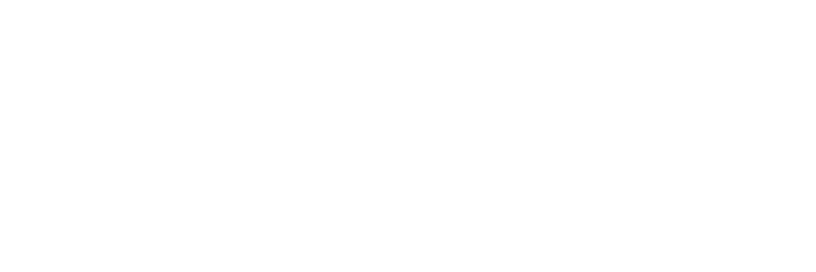 Logo Burgundy School of Business - Dijon